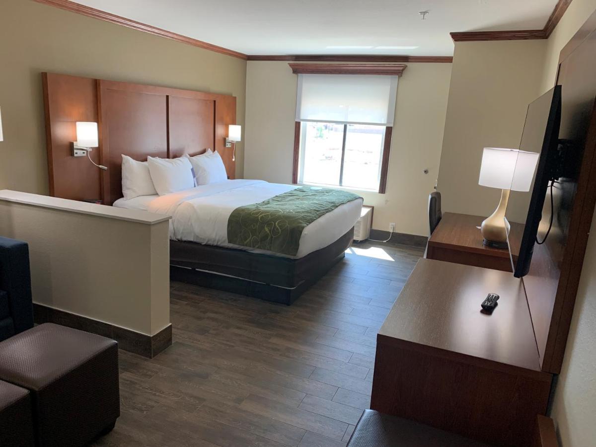 Comfort Suites West Monroe Near Ike Hamilton Expo Center 外观 照片