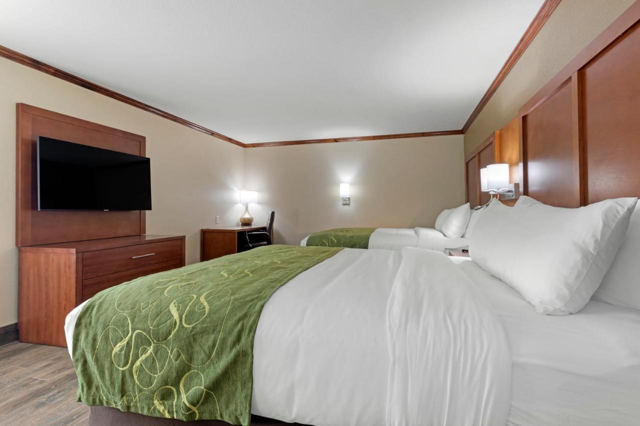 Comfort Suites West Monroe Near Ike Hamilton Expo Center 外观 照片