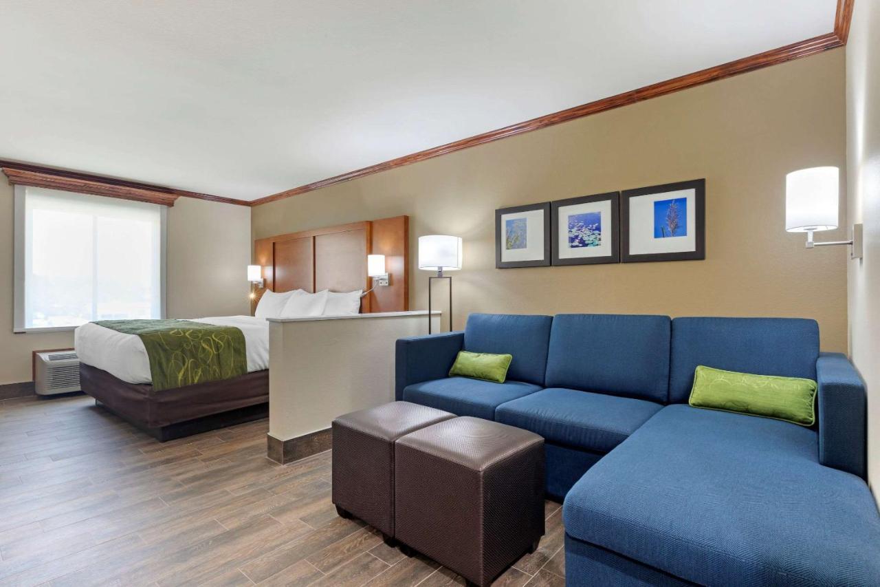Comfort Suites West Monroe Near Ike Hamilton Expo Center 外观 照片